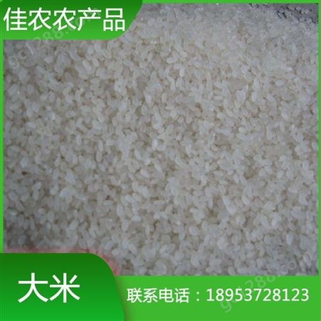 优质珍珠米 袋装大米 米厂直销 量大优惠