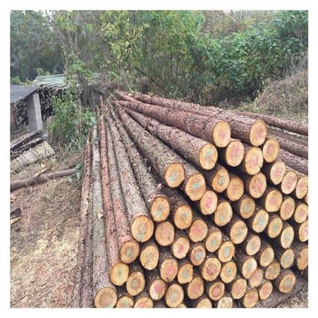 江西杉木杆 杉木棍 木材加工 绿化树木支撑杆 杉木原木批发出售