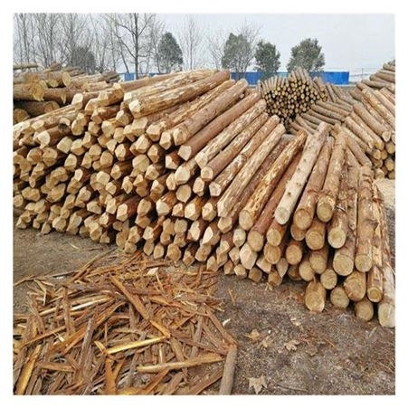 贵州地区收购松木原木正材 杉木 松木材加工