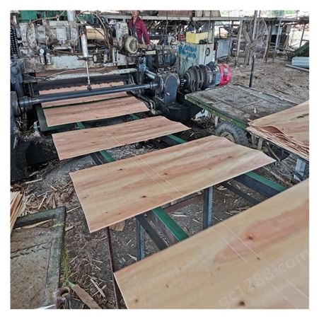 广东木材加工 桉木皮子 旋皮厂供应优质2.2mm板皮