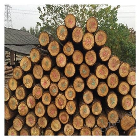 秋名山木业 收购2米正材 松木原木 杉木原木 木材加工