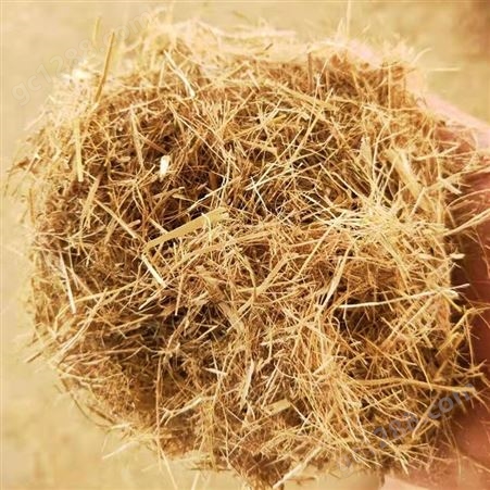 大量供应草纤维 嵩杰草纤维  覆盖保护种植层 直销