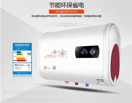 广东厂家供应家用电热水器 双内胆扁桶OEM壁挂式热水器