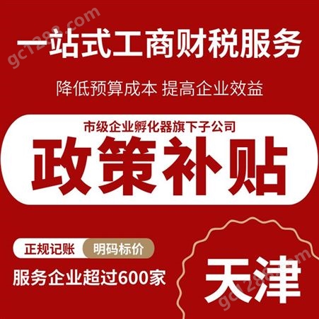 天津提供地址注册 会计代记账咨询服务 政策申请