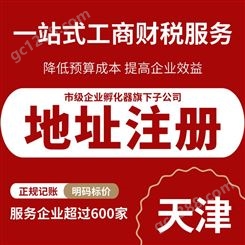 天津提供地址注册 会计代记账咨询服务 政策申请