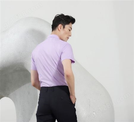 绣女织梦男衬衫工作服厂家定制 2020新款浅紫色男商务夏款短袖衬衫