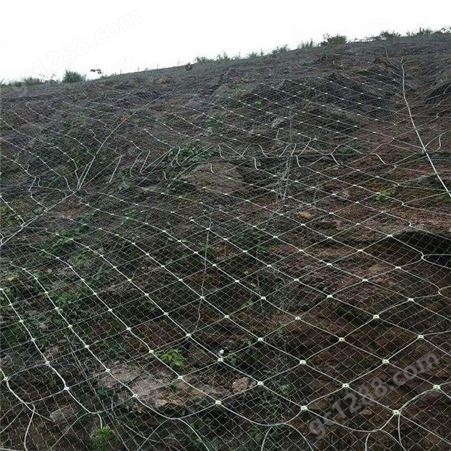自然灾害主动边坡防护网镀锌钢丝绳网 主动防护网 恩元