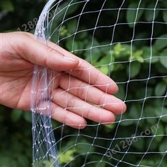 防鸟网 鱼塘谷子地枸杞种植鸟类防护网 网孔大幅宽