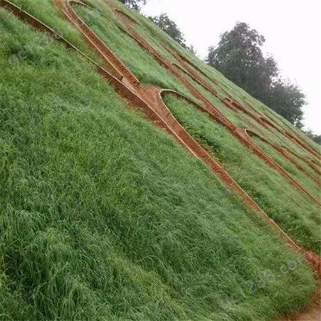 恩元建设承土喷播用网 边坡绿化工程 客土喷坡 喷播植草厂家