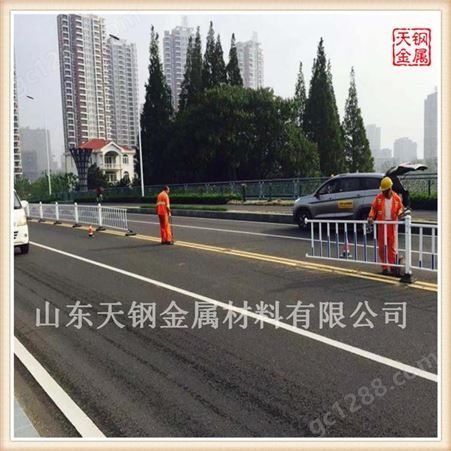 辽宁市政塑钢护栏 道路防护栏  可加工定做