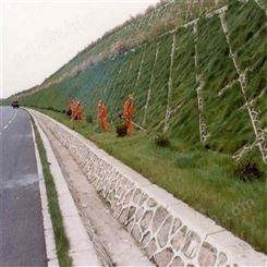 客土喷播植草专业施工 主动边坡防护网 高次团粒喷播找恩元