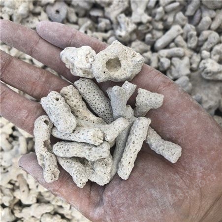现货现发珊瑚砂  过滤材料珊瑚砂 净化过滤珊瑚砂量大优惠