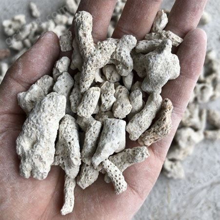 质量保证珊瑚骨 沙珊瑚砂 珊瑚砂价格