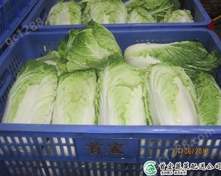 企业蔬菜配送_凤岗配送蔬菜_首宏蔬菜配送公司