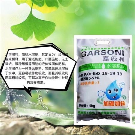 嘉施利19-19-19 水溶肥料 加硼加锌 促花保果 提质增产