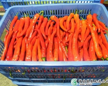 蔬菜水果配送_农副产品配送有哪些_首宏蔬菜配送公司