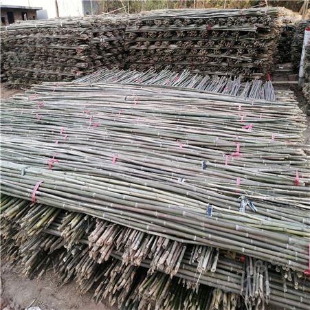 5米竹竿批发 5米白竹 园林标准竹竿自产自销 江西发货 量大从优