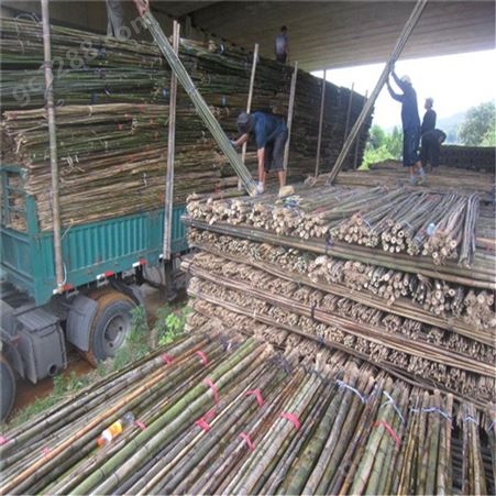 农村用的小竹竿 农业生产 篱笆庭院 蔬菜支撑杆