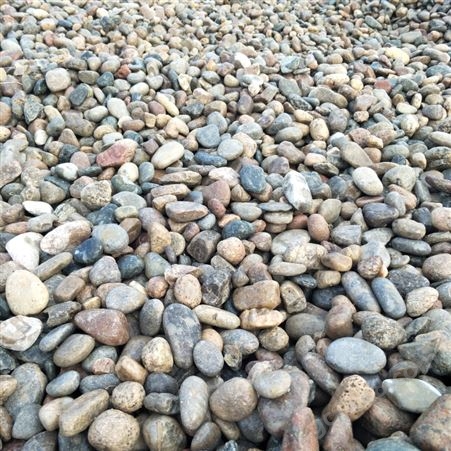 水处理鹅卵石 铺路石河滩 建筑用石子砾石填料 防滑美观