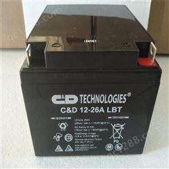 西恩迪CND2-800LBT 阀控式铅酸蓄电池 2V800AH应急电源