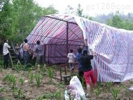 彩条布单膜防水盖货篷布 防雨挡雨防水布 厂家批发