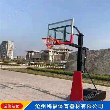 中小学篮球架 移动升降儿童篮球架 鸿福 儿童可移动篮球架 价格合理